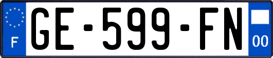 GE-599-FN