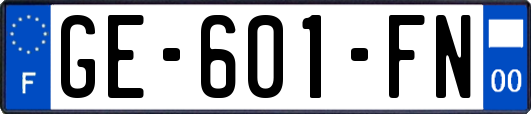 GE-601-FN