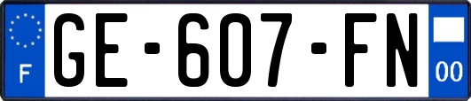 GE-607-FN