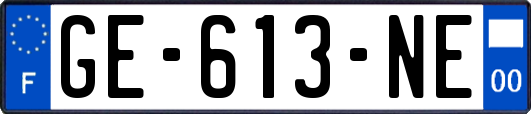 GE-613-NE