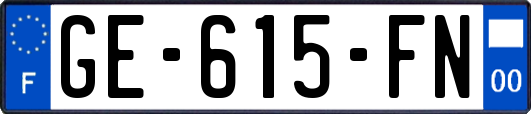 GE-615-FN