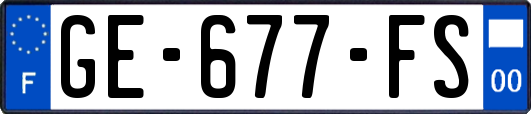 GE-677-FS
