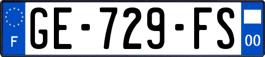 GE-729-FS