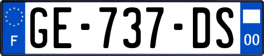 GE-737-DS