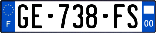 GE-738-FS