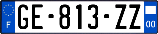 GE-813-ZZ