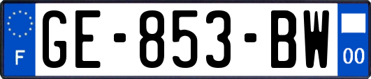 GE-853-BW