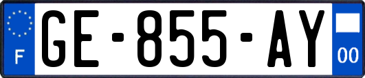 GE-855-AY