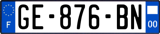 GE-876-BN