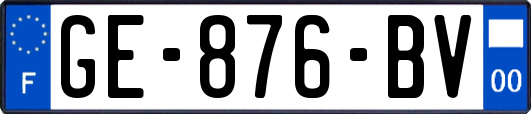 GE-876-BV