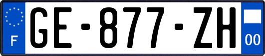 GE-877-ZH