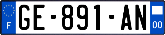 GE-891-AN