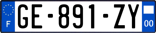GE-891-ZY