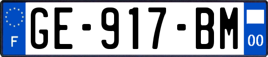 GE-917-BM