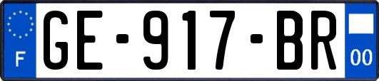 GE-917-BR