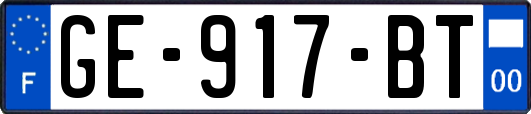 GE-917-BT