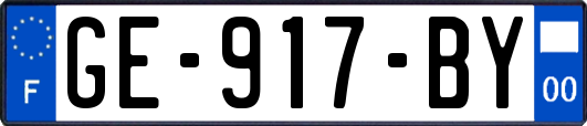 GE-917-BY