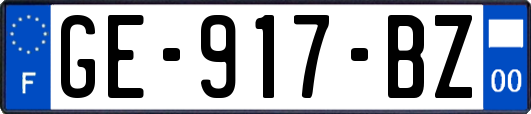 GE-917-BZ