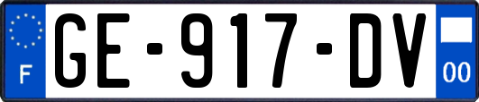 GE-917-DV