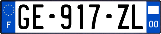 GE-917-ZL