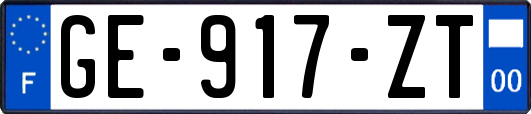 GE-917-ZT