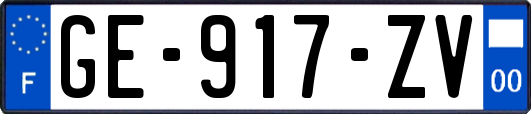 GE-917-ZV