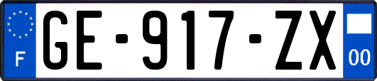 GE-917-ZX