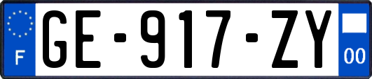 GE-917-ZY