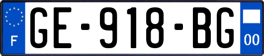 GE-918-BG