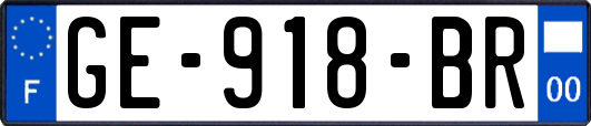 GE-918-BR