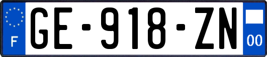 GE-918-ZN