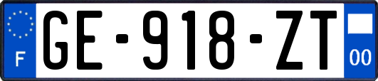 GE-918-ZT