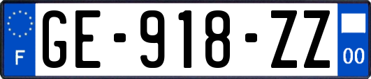 GE-918-ZZ