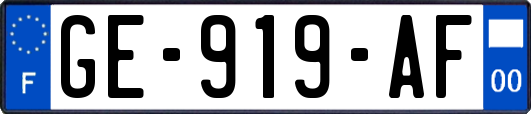 GE-919-AF