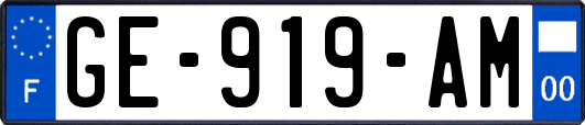 GE-919-AM