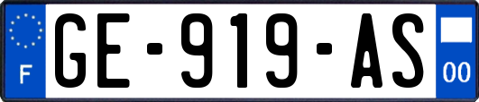GE-919-AS