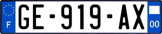 GE-919-AX