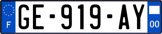 GE-919-AY