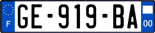 GE-919-BA