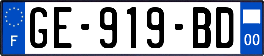 GE-919-BD