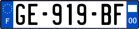GE-919-BF