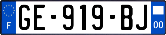 GE-919-BJ