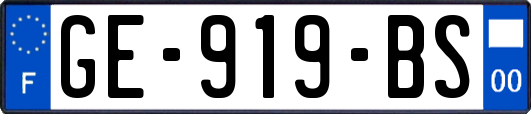 GE-919-BS
