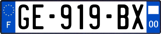 GE-919-BX