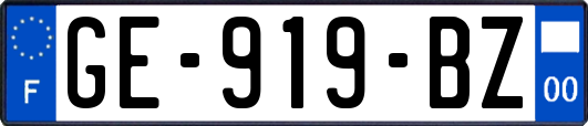 GE-919-BZ