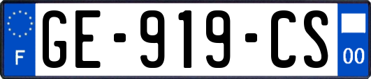 GE-919-CS