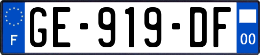 GE-919-DF