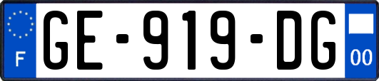 GE-919-DG
