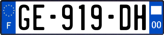 GE-919-DH