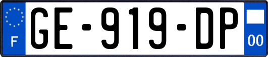 GE-919-DP